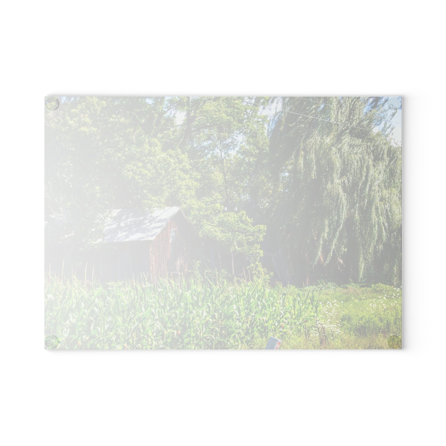 U R There Photography Roadside Ruin Rustic Farmhouse Tempered-Glass Cutting Board