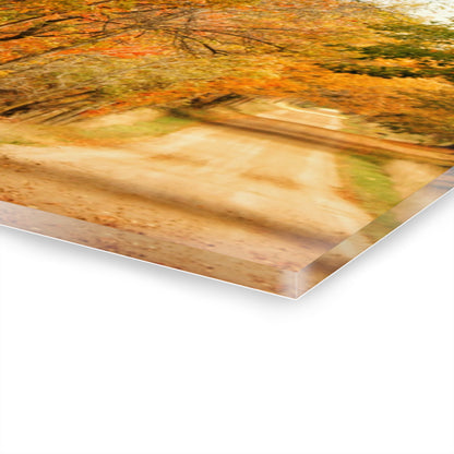 U R There Photography Fall on Murphy Lake II Rustic Farmhouse Acrylic Wall Print