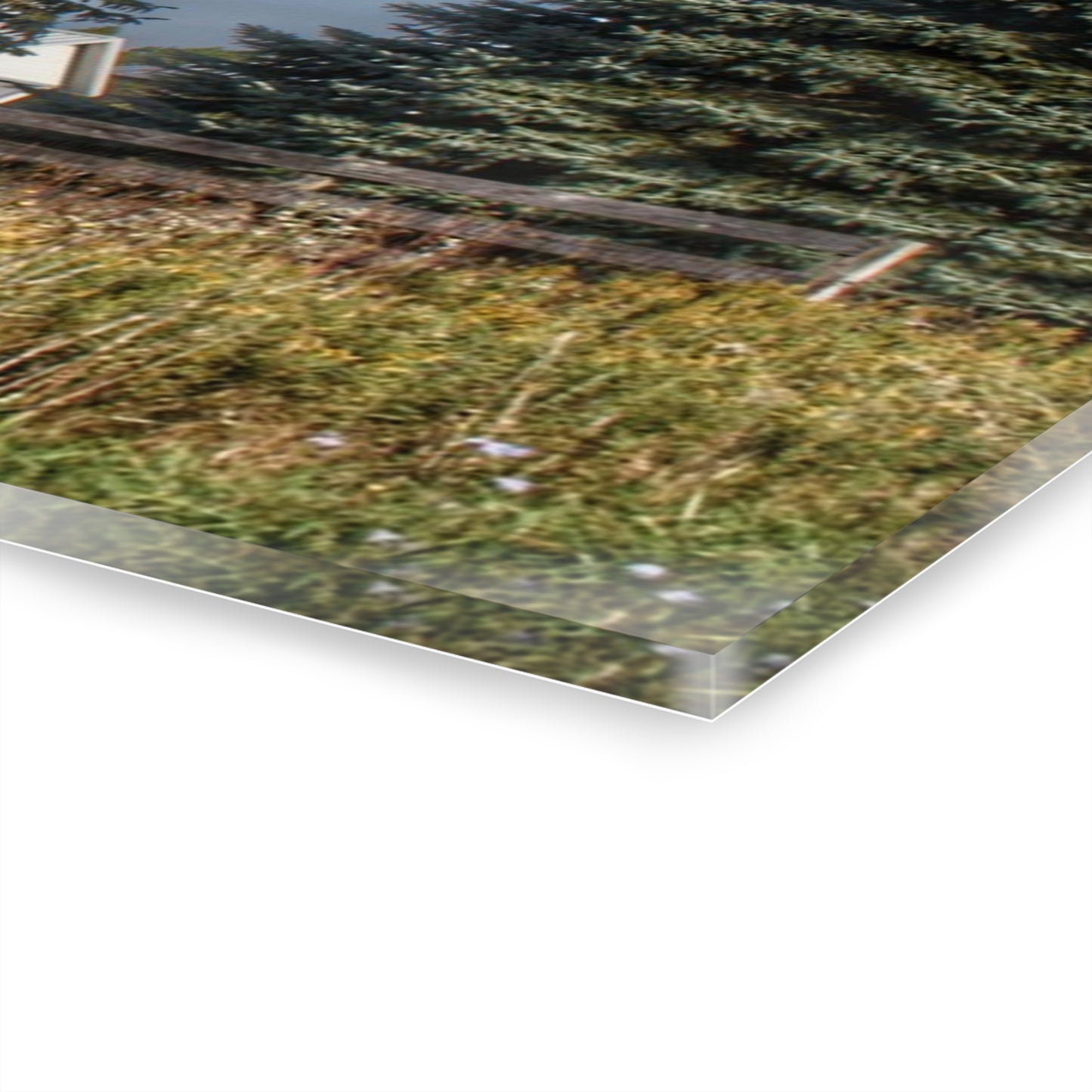 U R There Photography Elmwood Road Red III Rustic Farmhouse Acrylic Wall Print