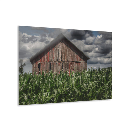 U R There Photography Above the July Corn Rustic Farmhouse Acrylic Wall Print