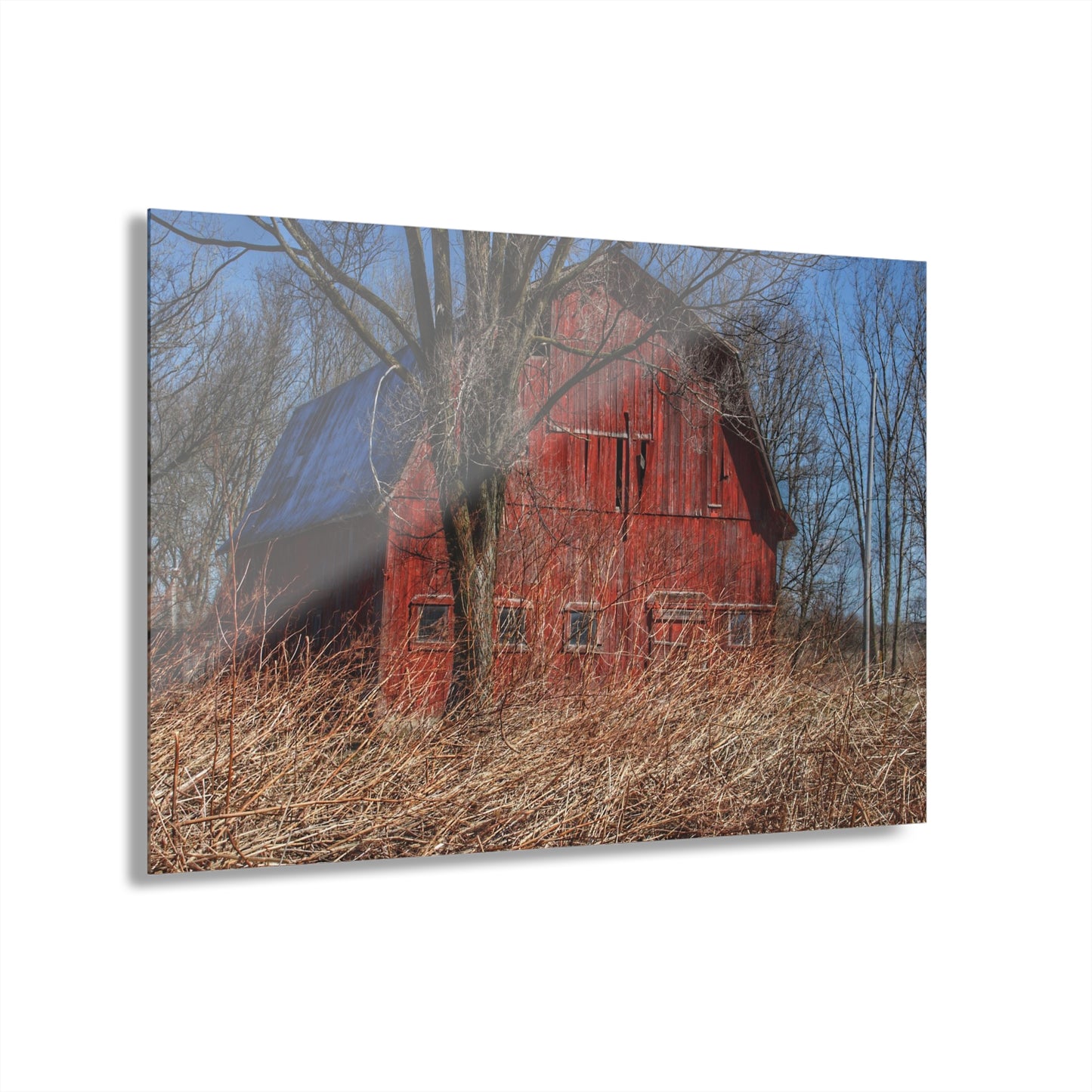 U R There Photography East Dodge Road Red Rustic Farmhouse Acrylic Wall Print