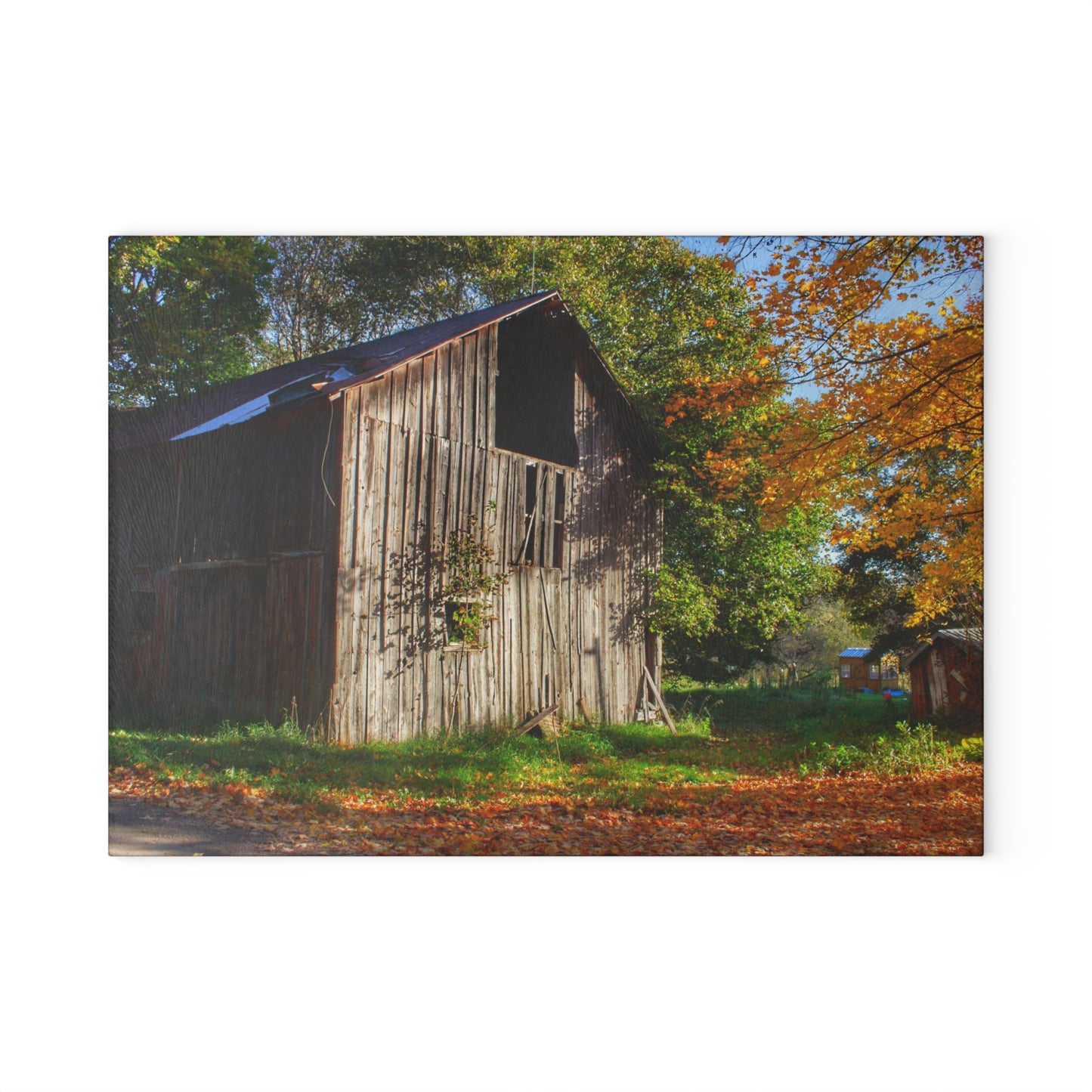 U R There Photography Shoemaker Road Hidden Grey Rustic Farmhouse Tempered-Glass Cutting Board