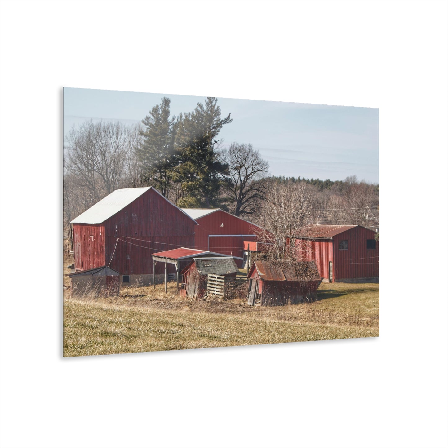 Barn Boutique Modern Farmhouse Acrylic Wall Print| Bronson Lake Reds