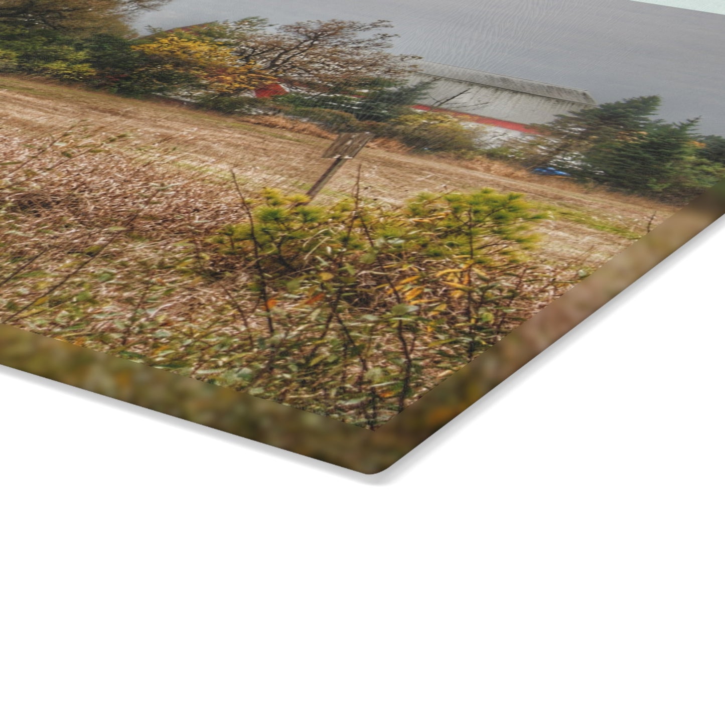 U R There Photography Hadley Road Hidden Red in Fall Rustic Farmhouse Tempered-Glass Cutting Board