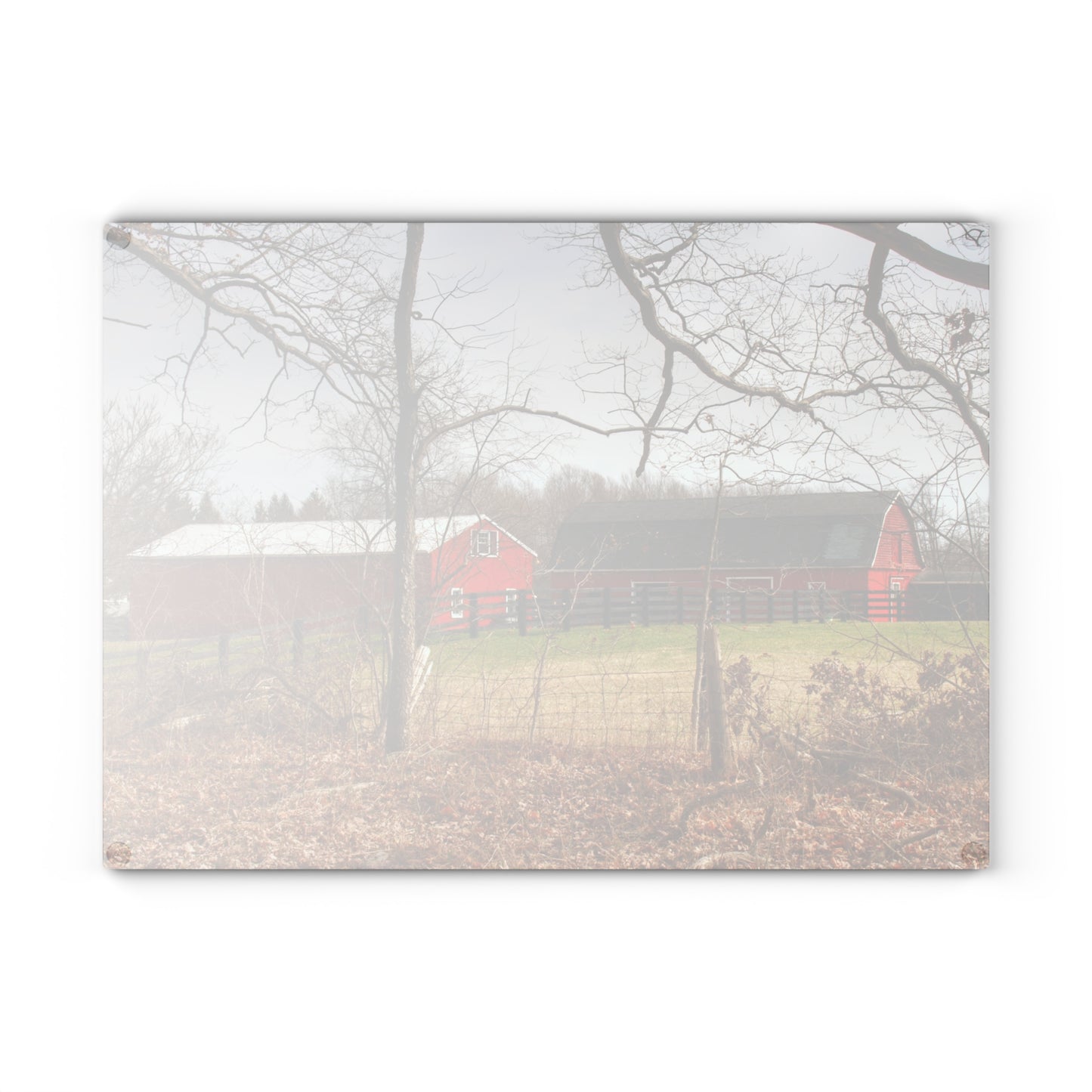 U R There Photography Hidden Hosner Reds Rustic Farmhouse Tempered-Glass Cutting Board