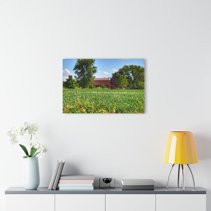 U R There Photography Canada Road Hidden Red Rustic Farmhouse Acrylic Wall Print