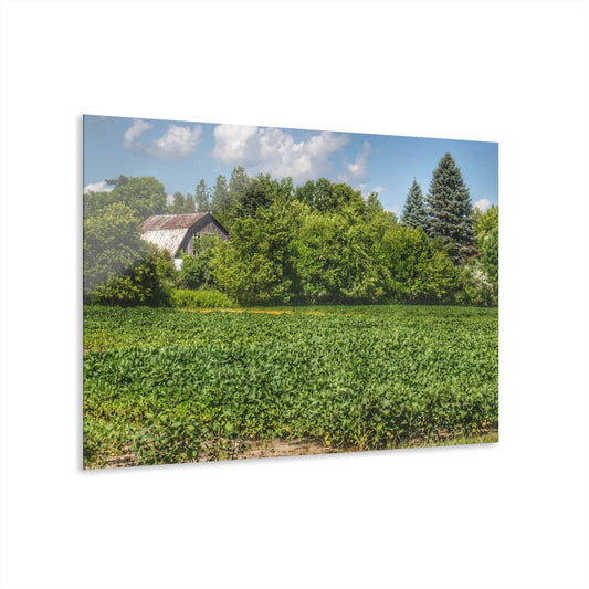 U R There Photography Canada Road Hidden Rustic Farmhouse Acrylic Wall Print
