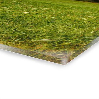 U R There Photography McPherson Greys Rustic Farmhouse Acrylic Wall Print