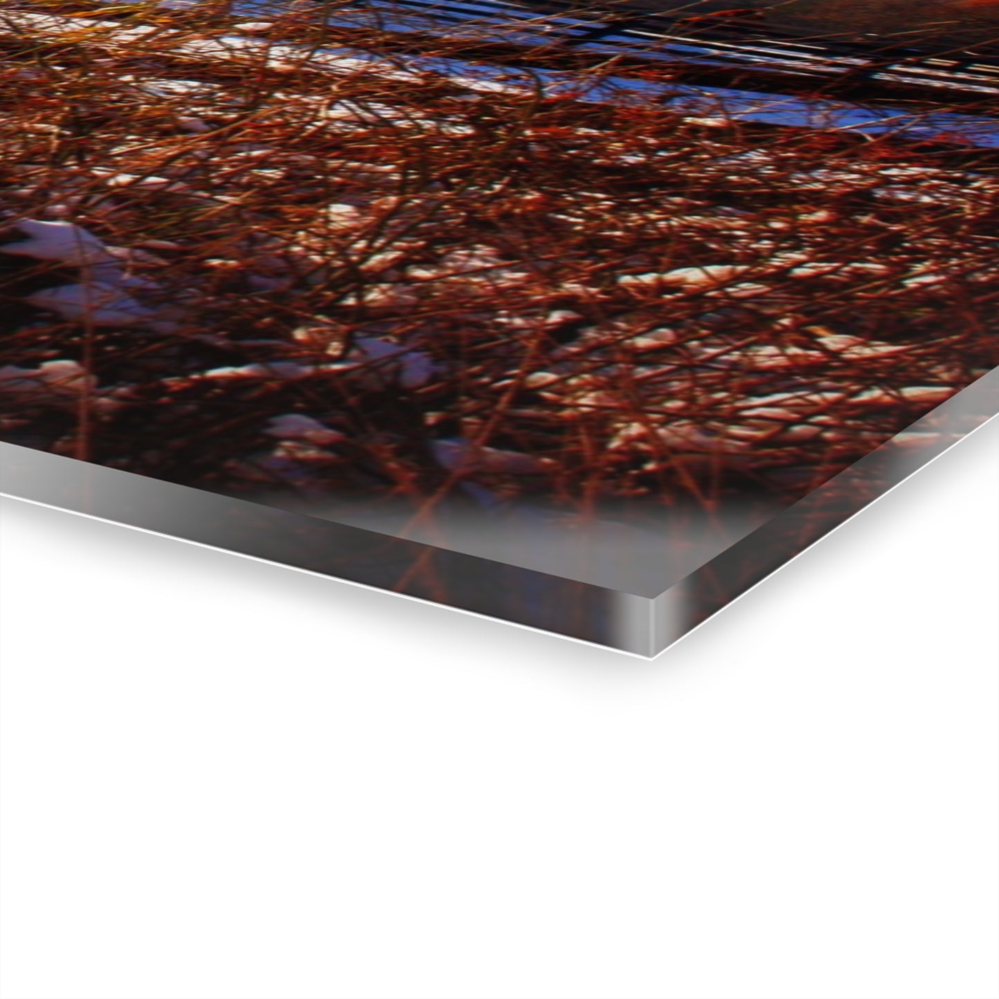 U R There Photography Groveland Red Rustic Farmhouse Acrylic Wall Print