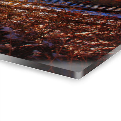 U R There Photography Groveland Red Rustic Farmhouse Acrylic Wall Print