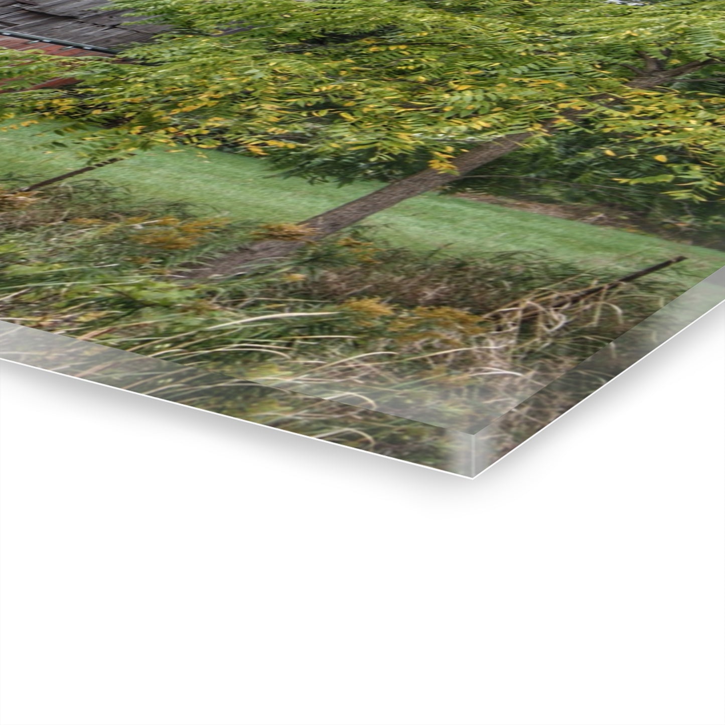 U R There Photography Hayes Road Hidden I Rustic Farmhouse Acrylic Wall Print