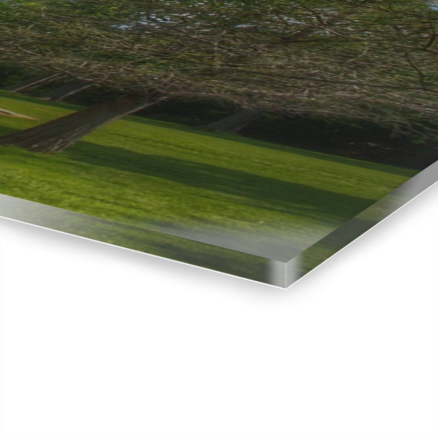 U R There Photography Cramton Park Bridge in Lapeer Rustic Farmhouse Acrylic Wall Print