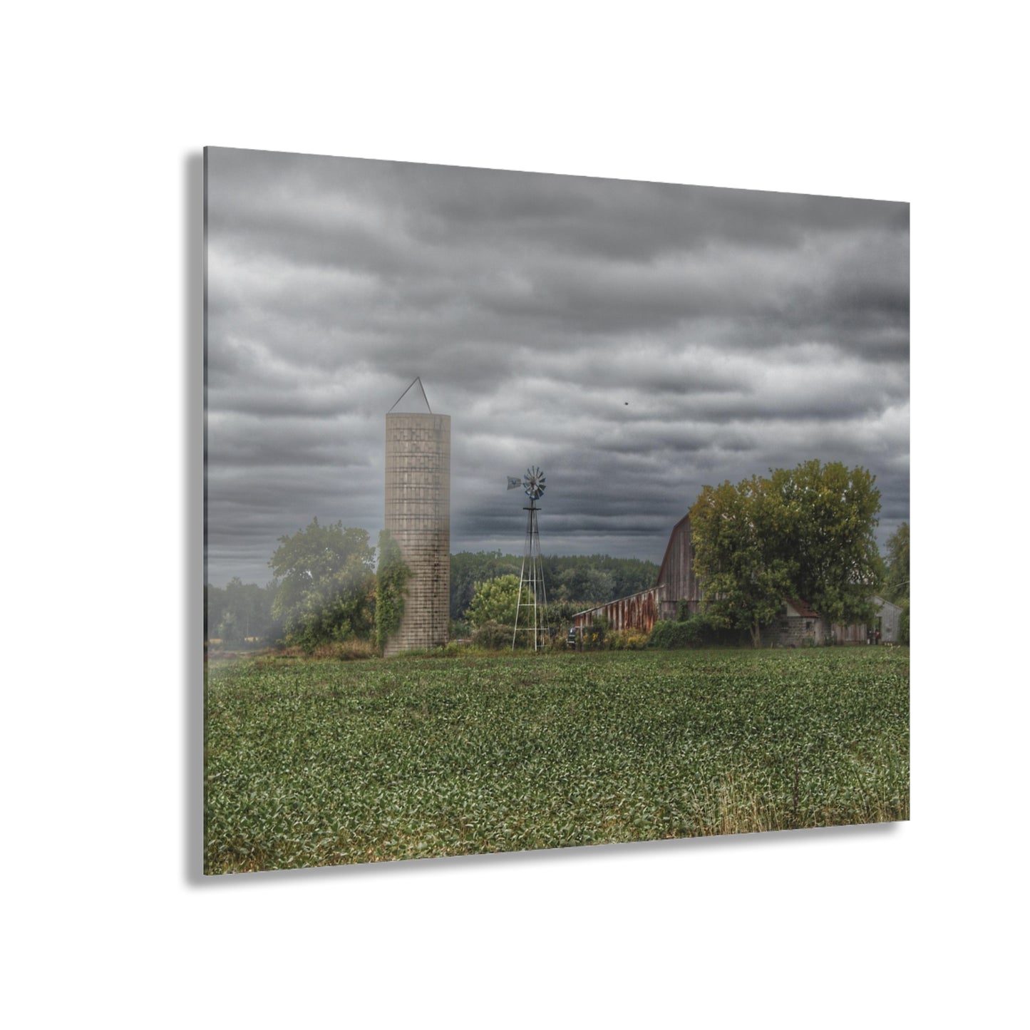 U R There Photography Rider Road Grey Rustic Farmhouse Acrylic Wall Print