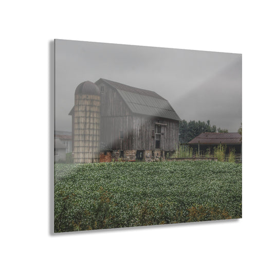 U R There Photography East Millington Road Grey and Stable Rustic Farmhouse Acrylic Wall Print