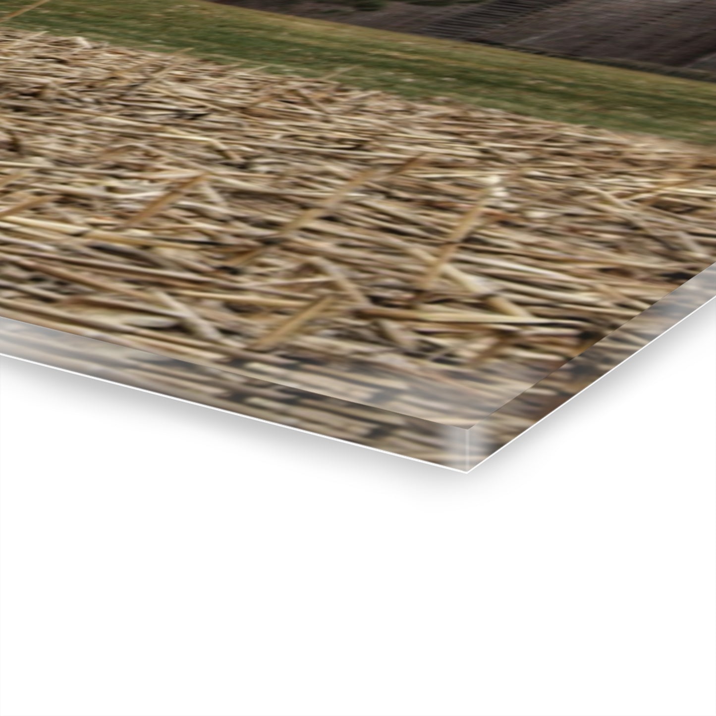 U R There Photography Fostoria Road Standing Man Red Rustic Farmhouse Acrylic Wall Print