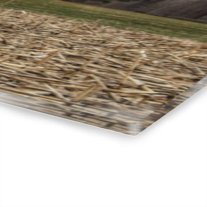 U R There Photography Fostoria Road Standing Man Red Rustic Farmhouse Acrylic Wall Print