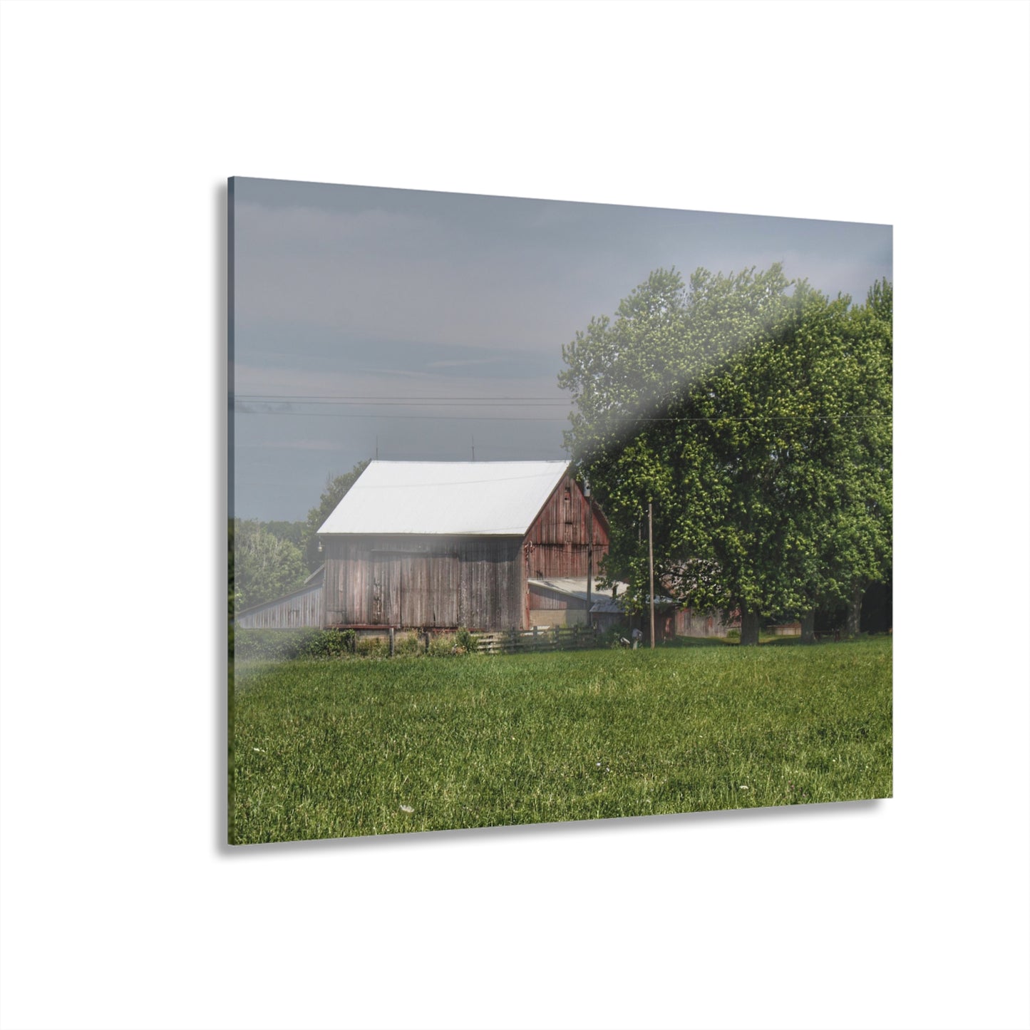 U R There Photography Castle Road Cow Barn III Rustic Farmhouse Acrylic Wall Print