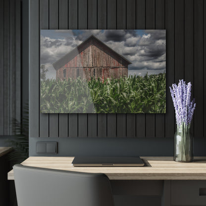 U R There Photography Above the July Corn Rustic Farmhouse Acrylic Wall Print