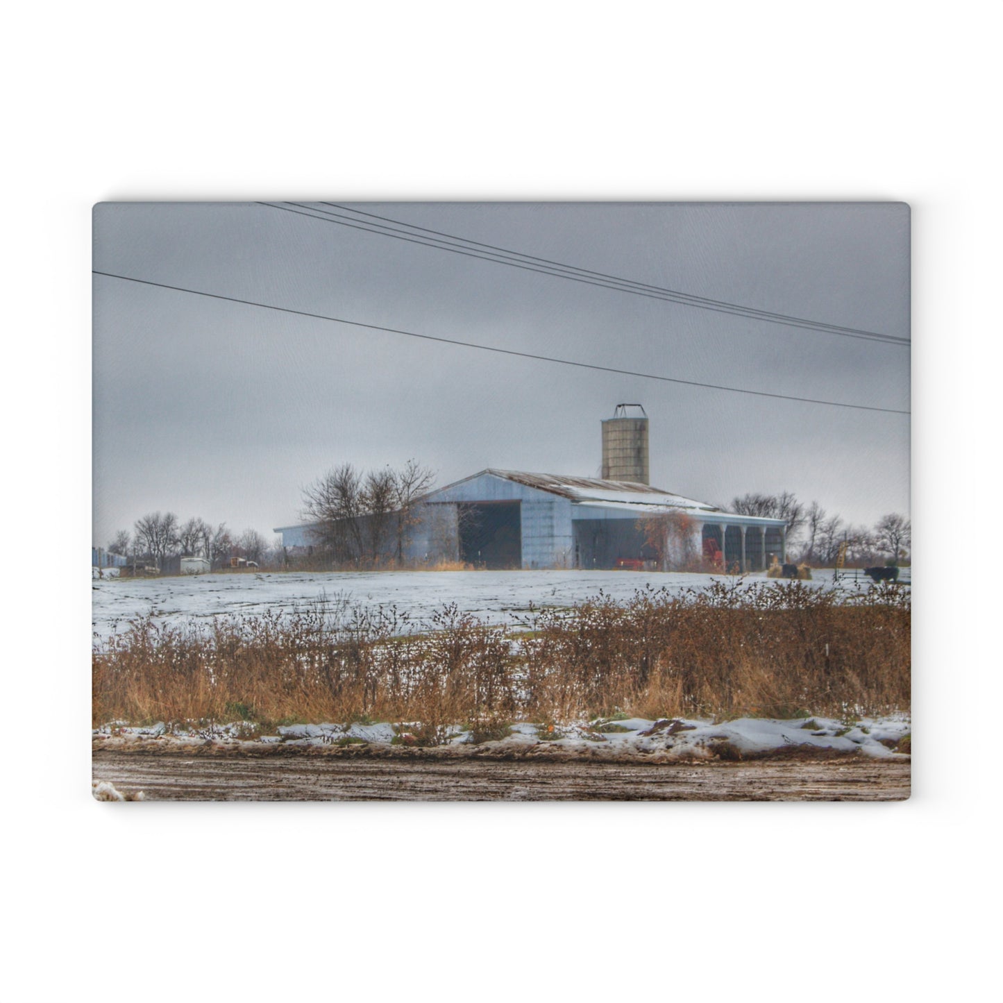 U R There Photography Noble Road Blue Cow Barn Rustic Farmhouse Tempered-Glass Cutting Board