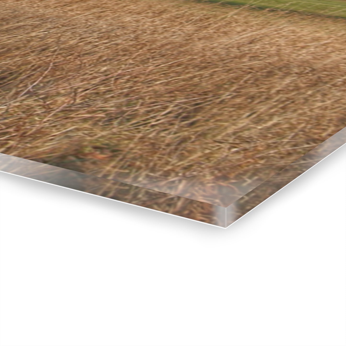 U R There Photography Harrington Road Red and Silo Rustic Farmhouse Acrylic Wall Print