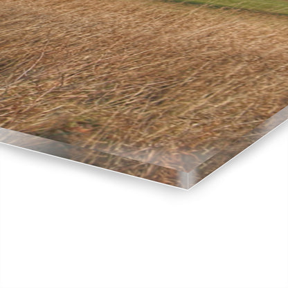 U R There Photography Harrington Road Red and Silo Rustic Farmhouse Acrylic Wall Print