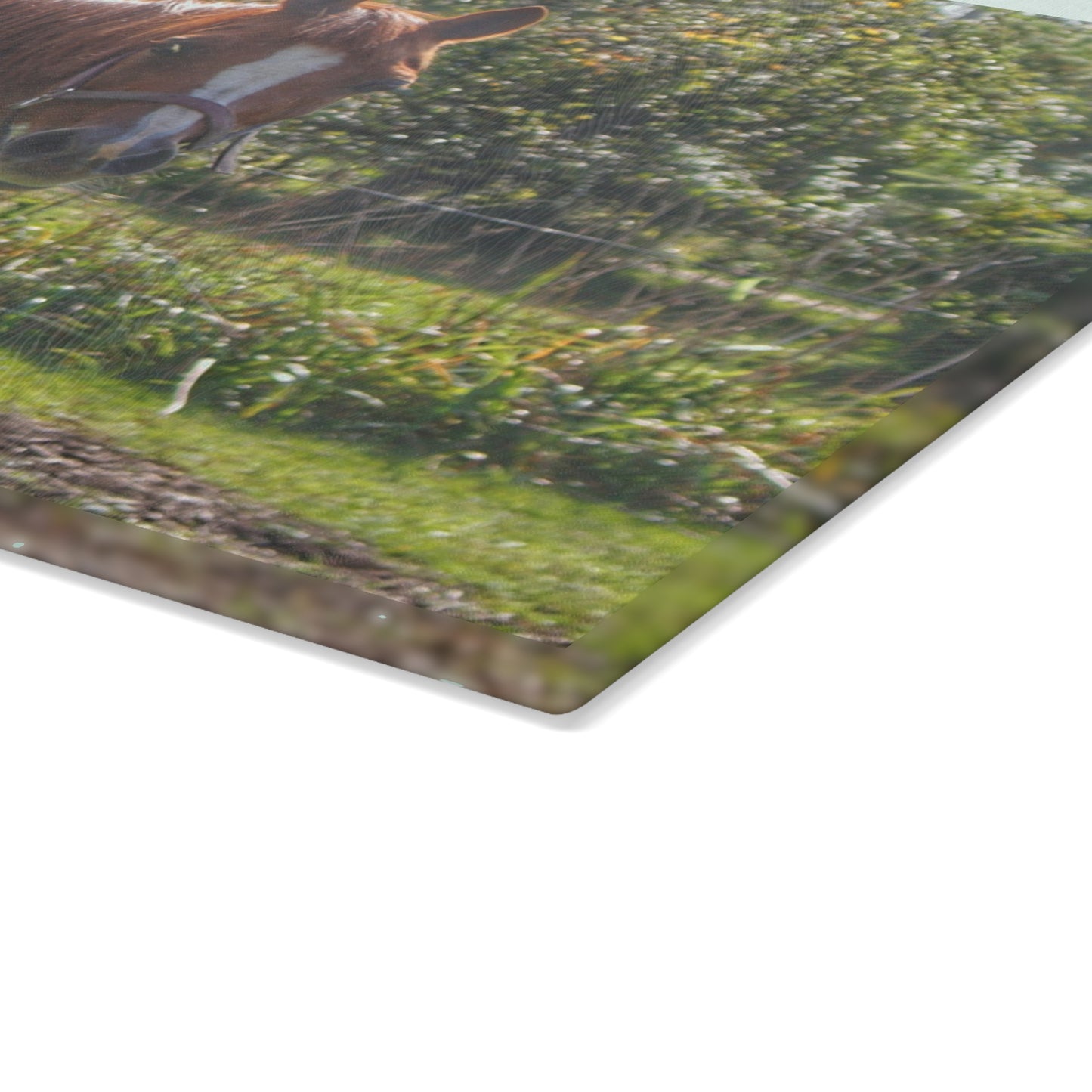 U R There Photography Froede Road Chestnut Brown Rustic Farmhouse Tempered-Glass Cutting Board