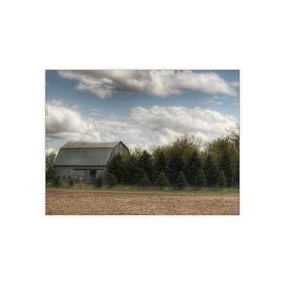 U R There Photography Sandusky Grey in the Pines Rustic Farmhouse Decorative Ceramic Tile