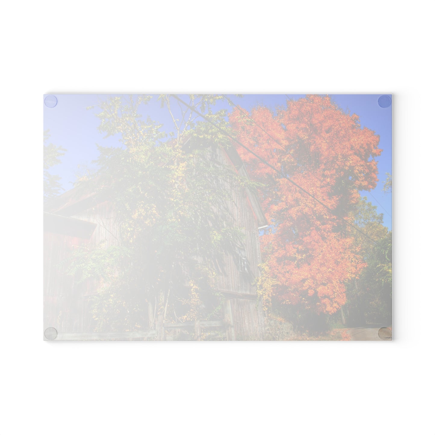 U R There Photography Oxford Rusted Red in Fall Rustic Farmhouse Tempered-Glass Cutting Board