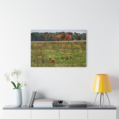 U R There Photography Once Upon a Time in a Pumpkin Patch Rustic Farmhouse Acrylic Wall Print