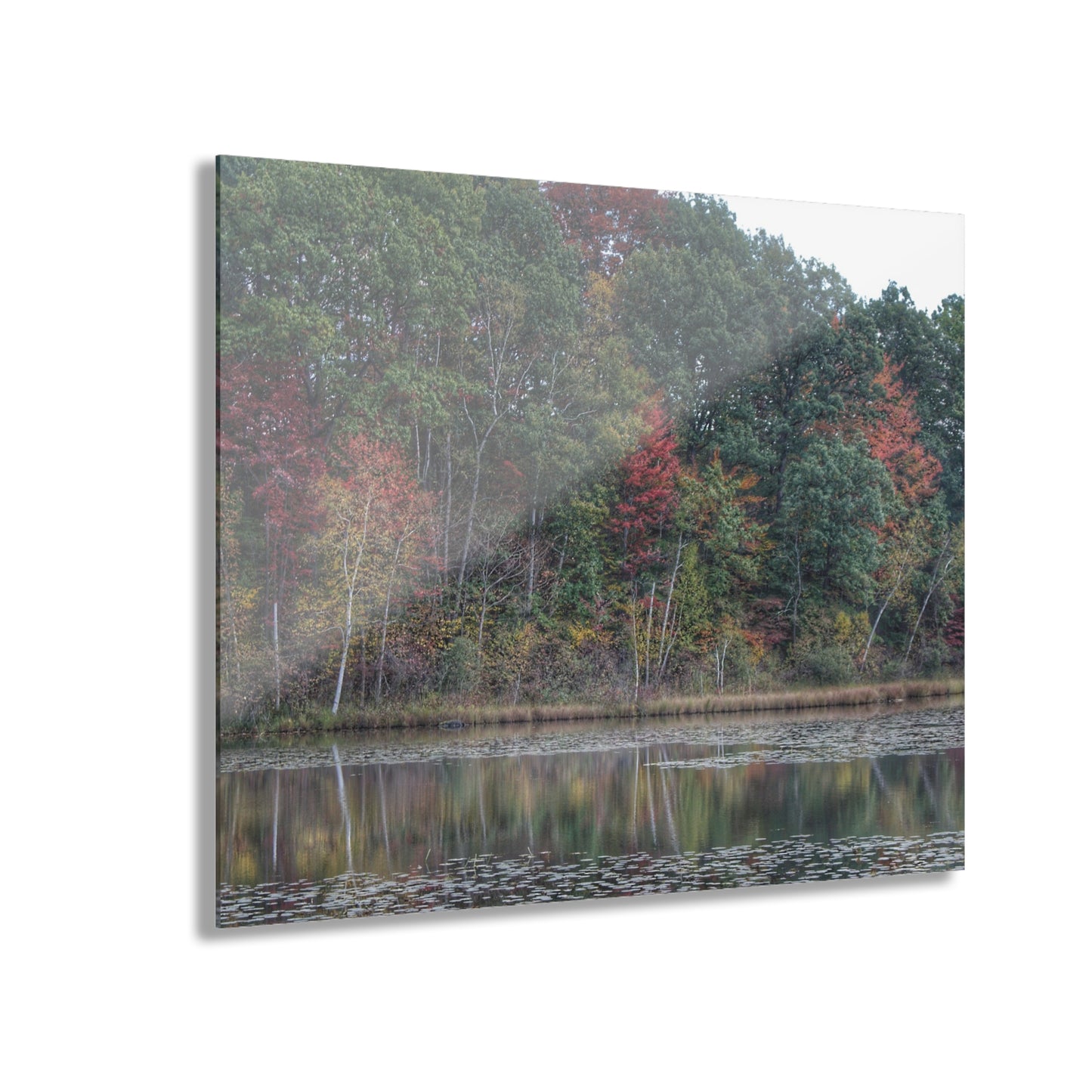 U R There Photography Fall on Murphy Lake IV Rustic Farmhouse Acrylic Wall Print