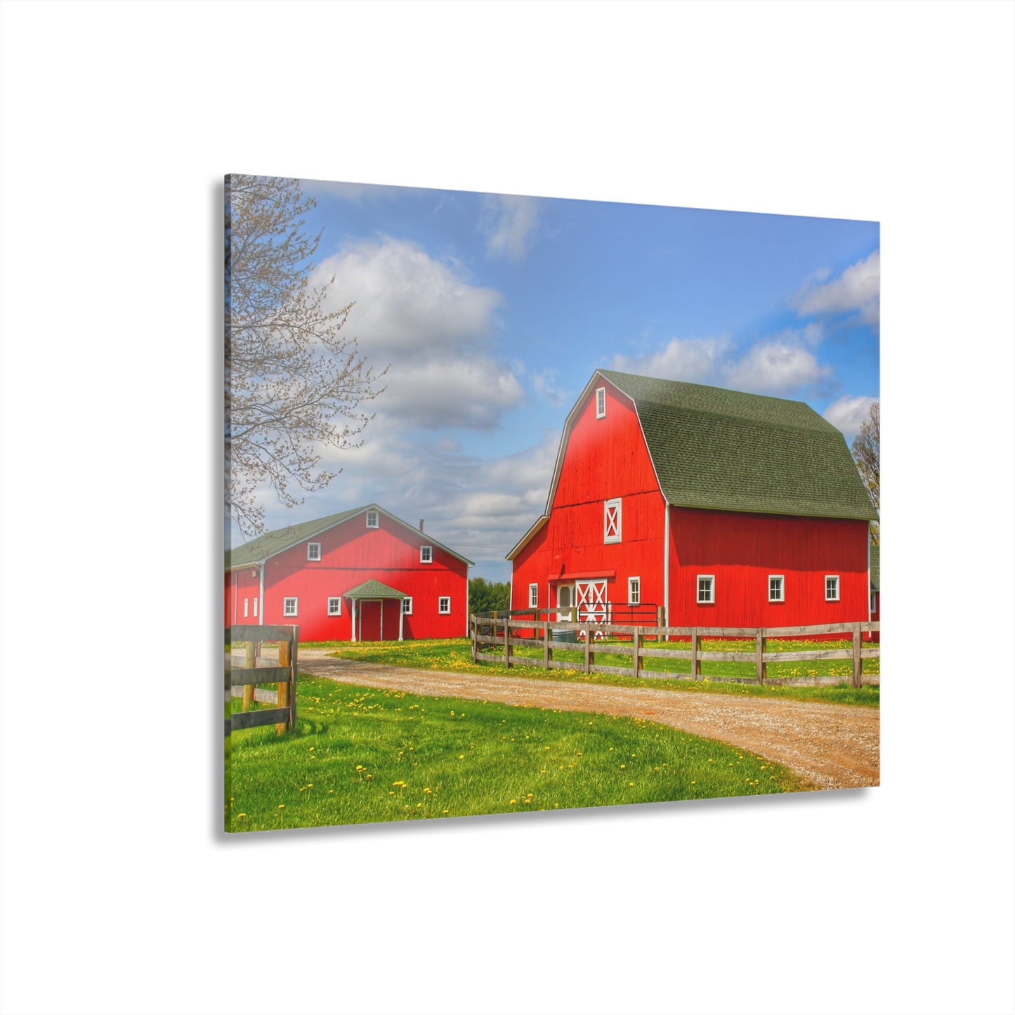 U R There Photography Sohn Road Reds Rustic Farmhouse Acrylic Wall Print