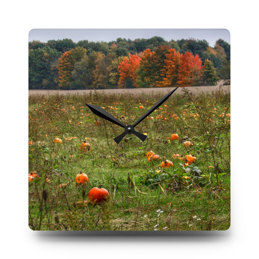 Once Upon a Time in a Pumpkin Patch Rustic Farmhouse Acrylic Analog Wall Clock 10.75'' × 10.75'' (Square)