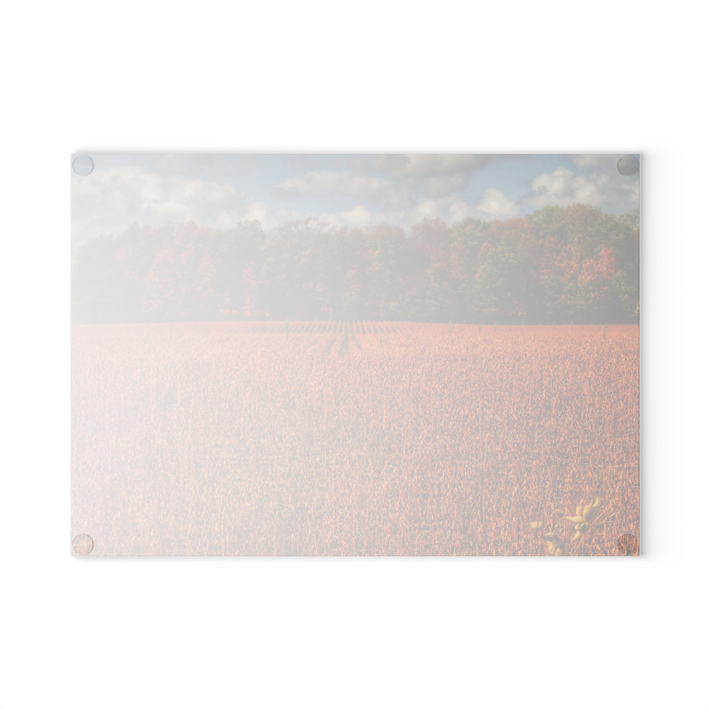 U R There Photography Fall on Murphy Lake I Rustic Farmhouse Tempered-Glass Cutting Board