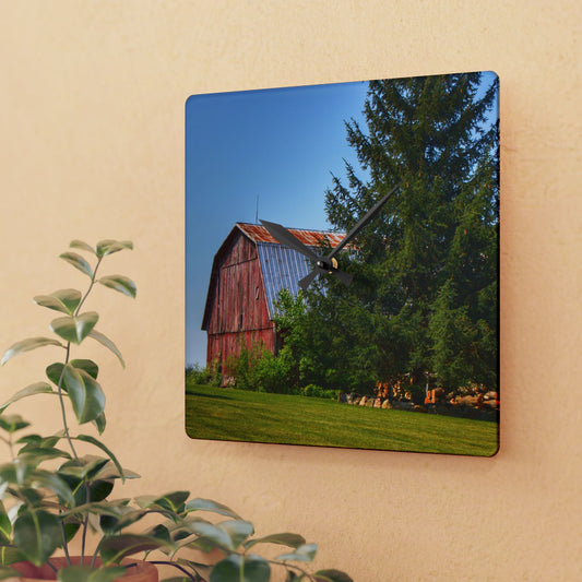 U R There Photography Mushroom Road Hidden Red Rustic Farmhouse Acrylic Analog Wall Clock