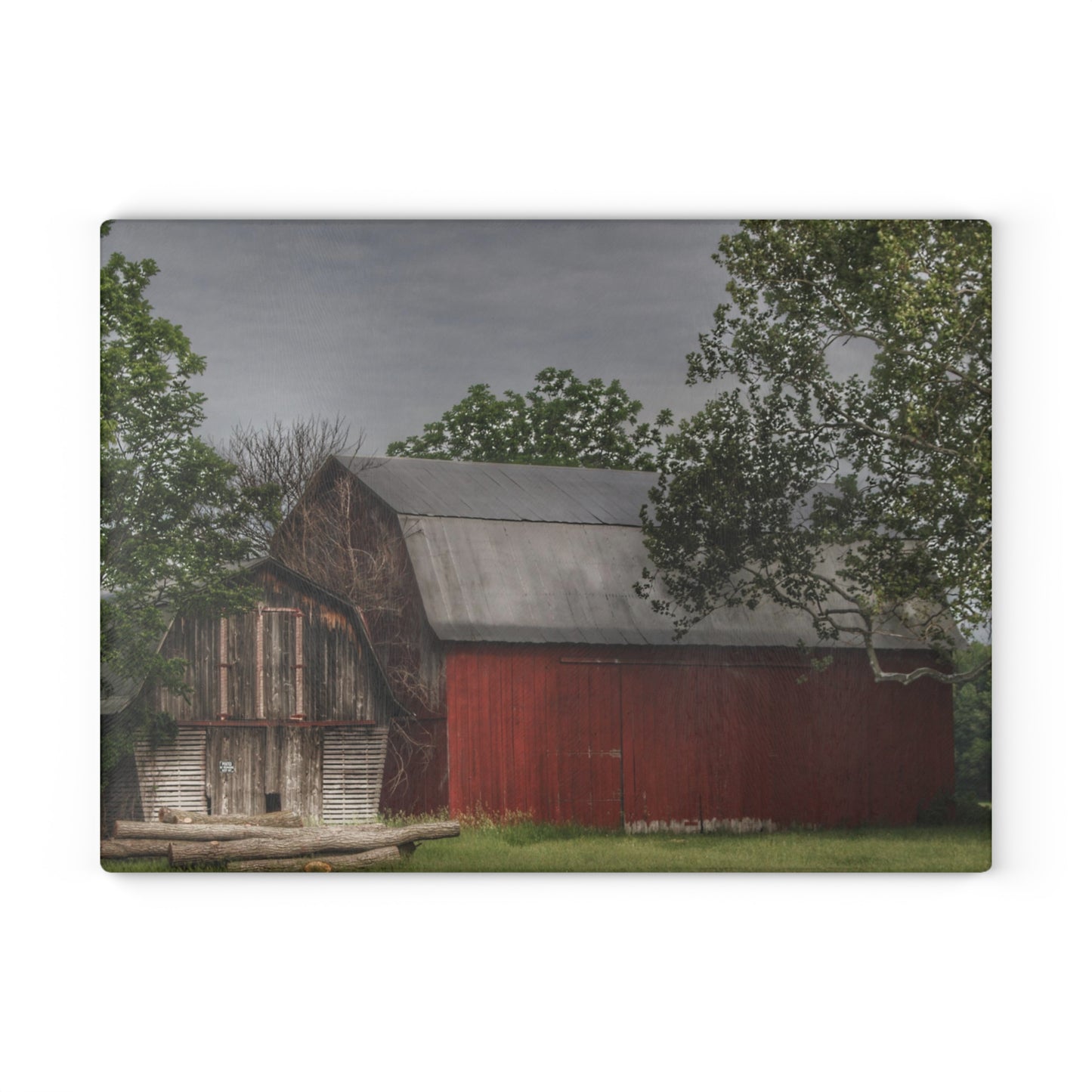 U R There Photography Barkley Road Buddies Rustic Farmhouse Tempered-Glass Cutting Board
