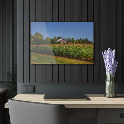 U R There Photography Beyond the Corn on Birch Road Run Rustic Farmhouse Acrylic Wall Print 14 "x 11