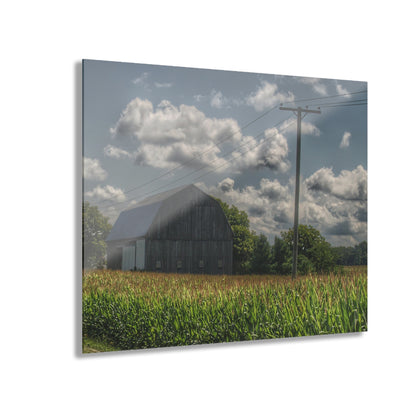 U R There Photography Grey Barn in a Cornfield Rustic Farmhouse Acrylic Wall Print