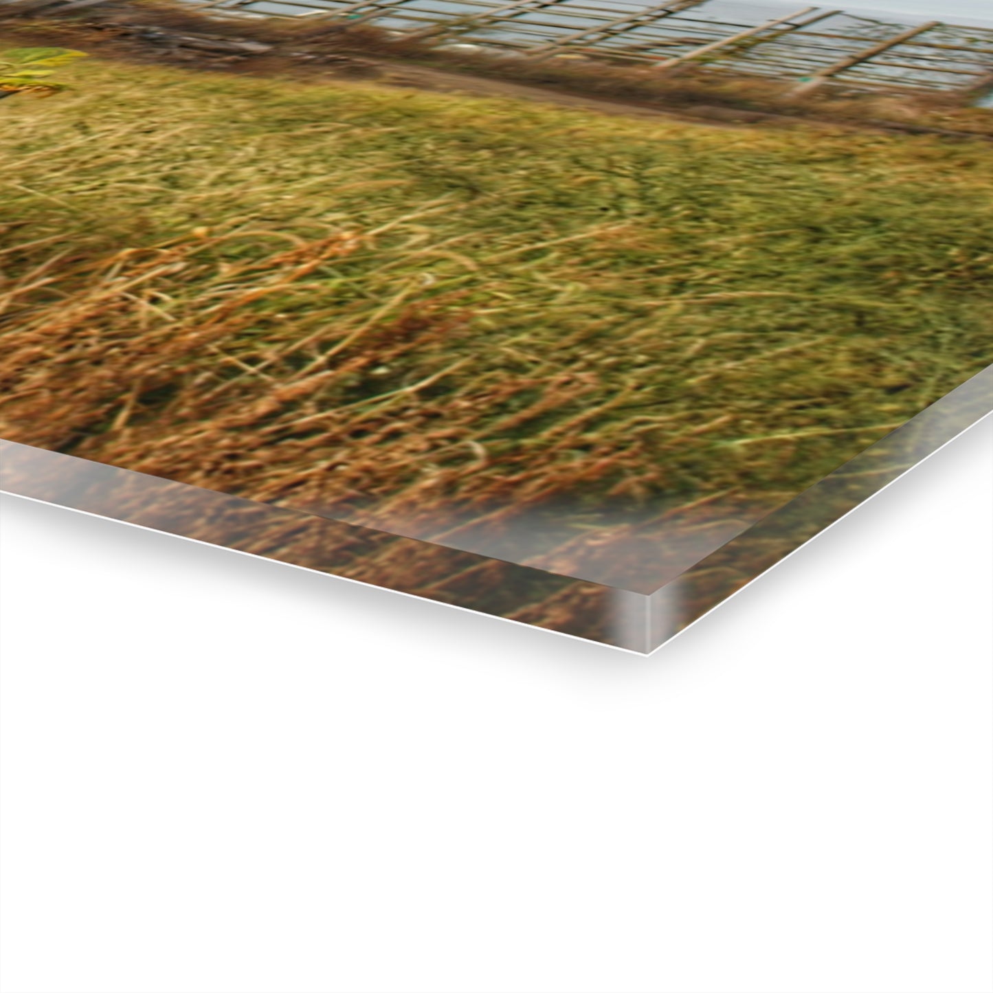 U R There Photography Hurds Corner Red I Rustic Farmhouse Acrylic Wall Print