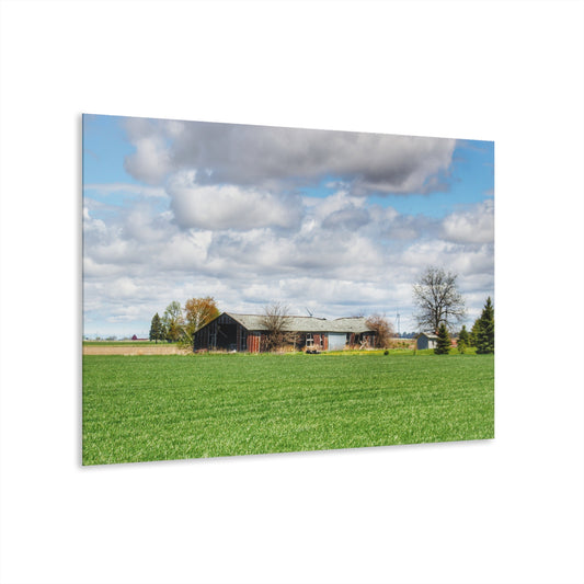 U R There Photography Rescue Road Rusted Shack Rustic Farmhouse Acrylic Wall Print