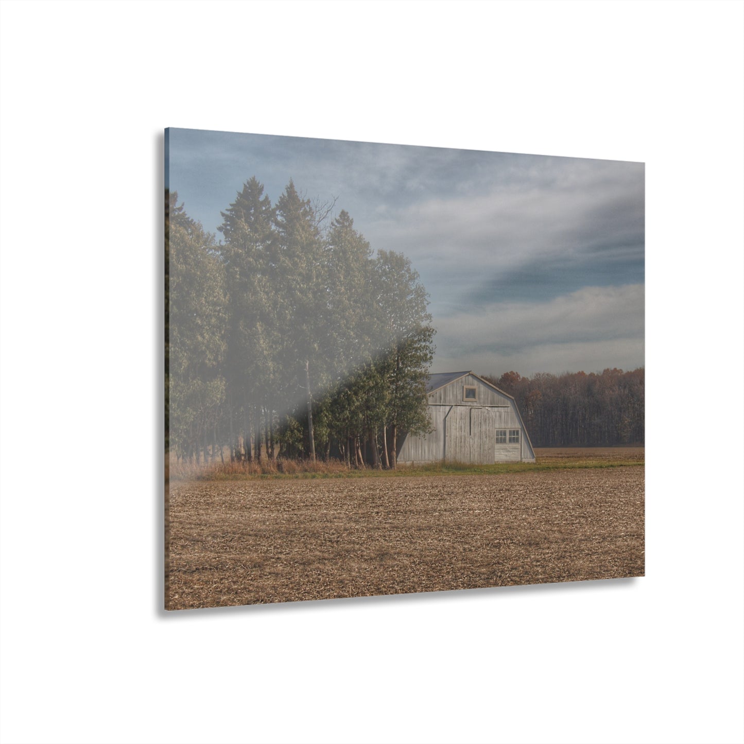 U R There Photography Grey Quonset Among the Pines Rustic Farmhouse Acrylic Wall Print