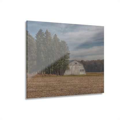 U R There Photography Grey Quonset Among the Pines Rustic Farmhouse Acrylic Wall Print