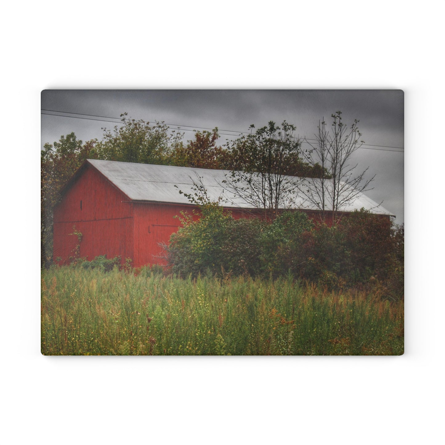 U R There Photography Willard Road Red I Rustic Farmhouse Tempered-Glass Cutting Board