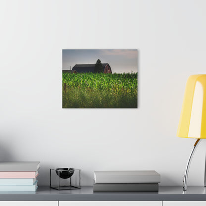 U R There Photography Beyond the Corn in Metamora Rustic Farmhouse Acrylic Wall Print