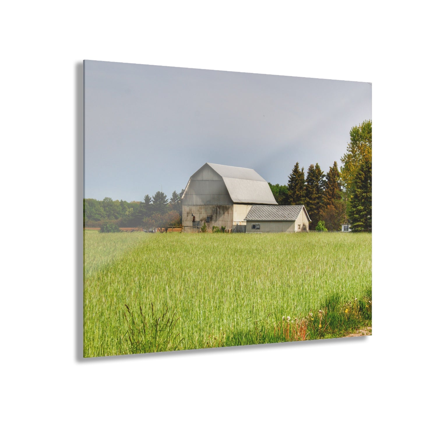 U R There Photography North Graf Road White Rustic Farmhouse Acrylic Wall Print