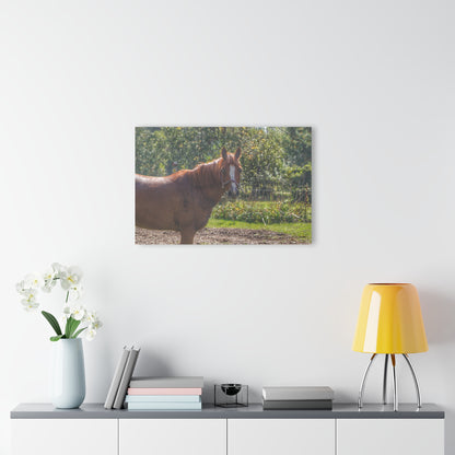 U R There Photography Froede Road Chestnut Brown Rustic Farmhouse Acrylic Wall Print