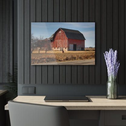 U R There Photography Elmwood Forgotten Apple Red Rustic Farmhouse Acrylic Wall Print