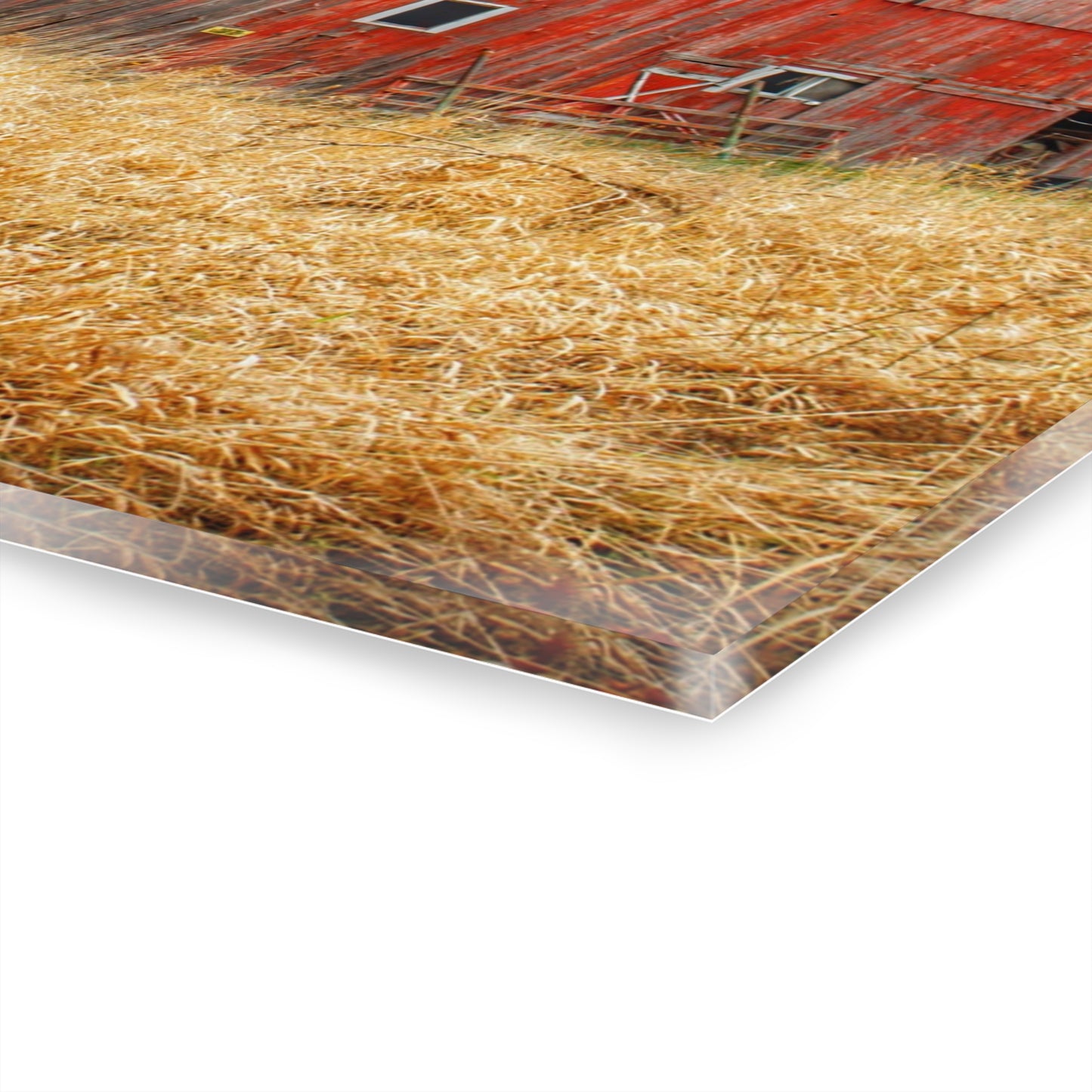 U R There Photography Harrington Road Red Rustic Farmhouse Acrylic Wall Print