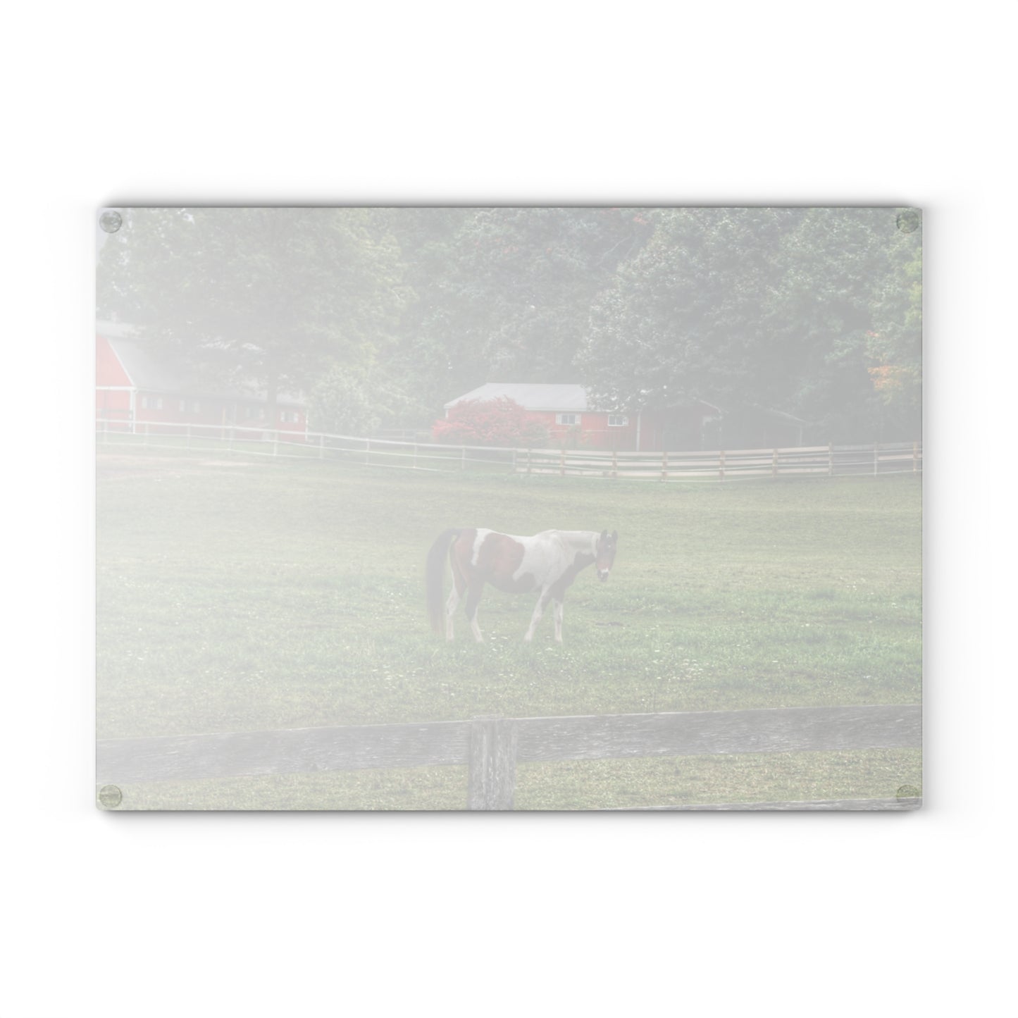 U R There Photography Painted Pony in Pasture Rustic Farmhouse Tempered-Glass Cutting Board