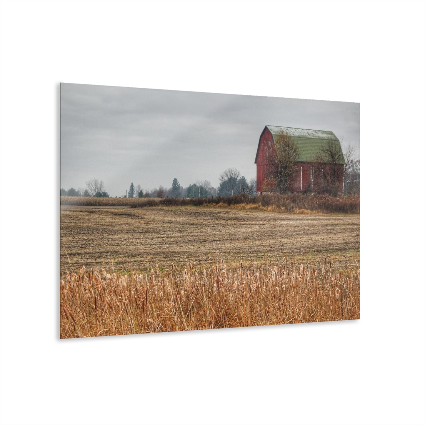 U R There Photography Bowers Road Red IV Rustic Farmhouse Acrylic Wall Print