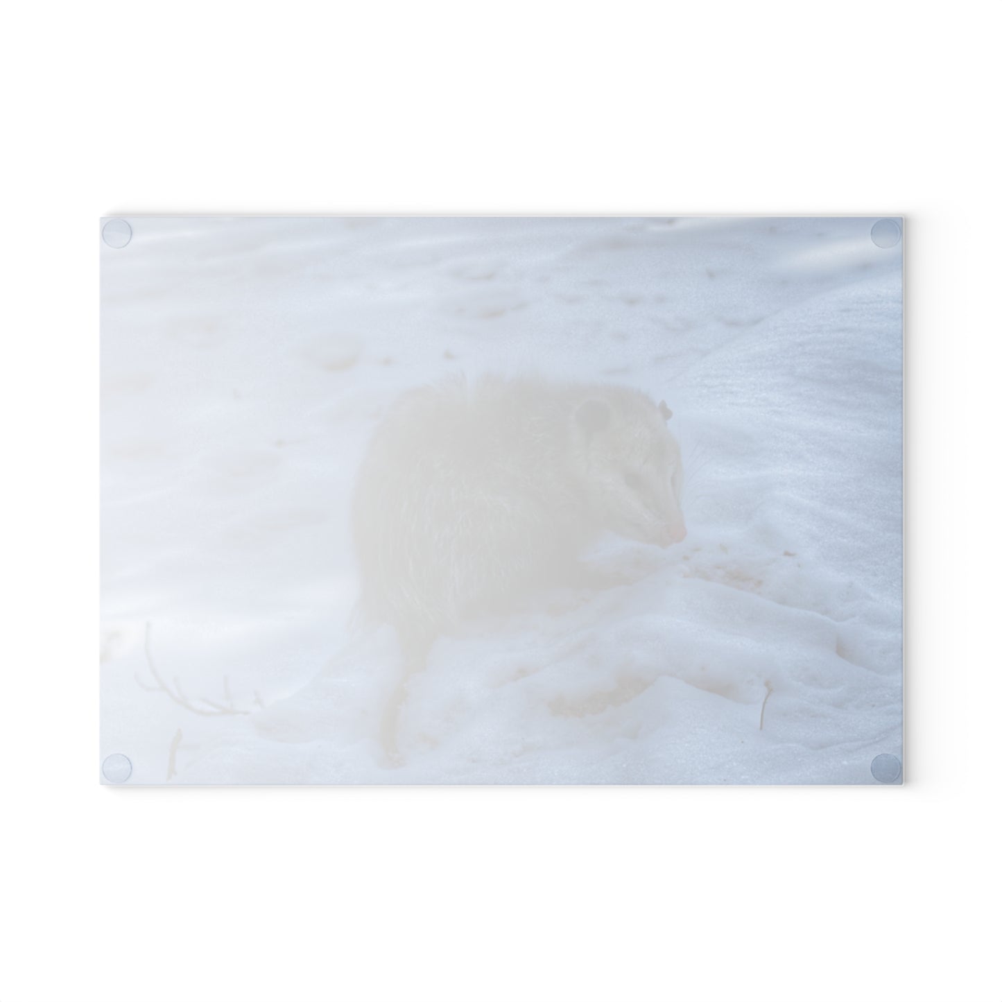 U R There Photography Sutton Road Possum Rustic Farmhouse Tempered-Glass Cutting Board